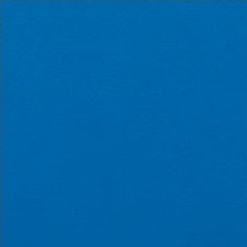 TORINO colour : dark blue (VT0113)