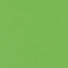 ROMA colour: light green (VP0907)