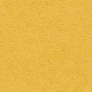 NEWAPPLE colour: yellow (VT1402)