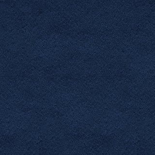 NEWAPPLE colour: navy blue (VT1404)